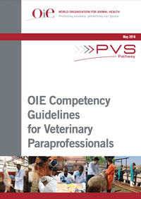VPP Competency Guidelinesthumbnail image